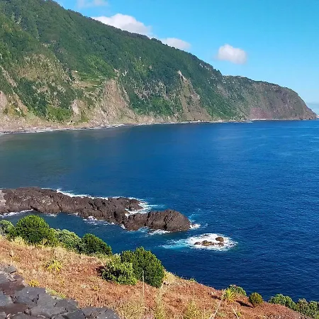 Ninho Gaivota Porto Moniz