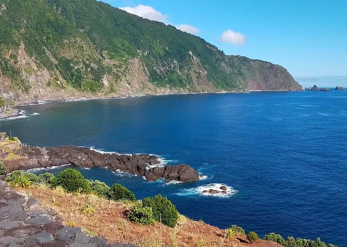 Ninho Gaivota Porto Moniz