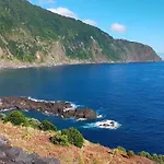 Ninho Gaivota Porto Moniz