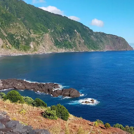 Ninho Gaivota Porto Moniz